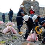 Venezuela postulará al casabe y al joropo como patrimonio de la Humanidad.