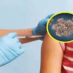 Conozca los beneficios del plátano para la salud.