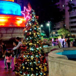 PSUV anuncia gran actividad en plazas Bolívar del país.