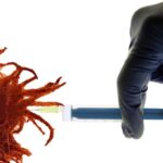 Kallas tilda de “provocación” las críticas de EE.UU. sobre libertad de expresión en Europa.