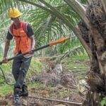 El comercio mundial superará por primera vez los 35 billones de dólares en 2025, según la ONU.