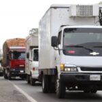 Bolívar acumula el 50% de las hectáreas disponibles para siembra de cacao en el país.