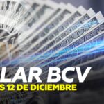 ONU: Invertir en medioambiente puede aumentar el PIB mundial y sacar a millones de personas de la pobreza.