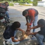 Sedemat realizará jornada especial de impuestos este sábado 10 de enero en sede de Valle Frío.