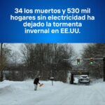 Las autoridades de Países Bajos descubrieron 4,8 toneladas de cocaína en contenedores con electroimanes, enviados desde Ecuador.