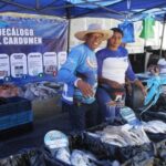 ¿Tendencia Therian en Caracas? Sepa que establece la Gaceta Municipal en torno a esta conducta juvenil.