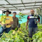 Venezuela reanudará exportaciones de cangrejo azul a EE.UU.