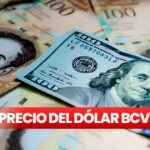 Venezuela exportó 70 toneladas de café con destino a Estados Unidos.