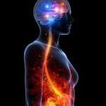 ¿No puedes dormir? La guía definitiva para vencer el insomnio sin fármacos.