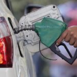 Sector ganadero trabaja en certificación sanitaria para exportar.