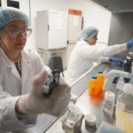 Impulso al comercio: Entes estatales se especializan en estándares aduaneros globales.