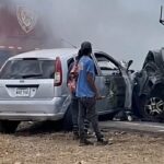 Detenidos tres jóvenes tras grabar el brutal asesinato de un perro comunitario.