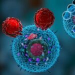 El futuro de la mente: La ciencia logra restaurar funciones cerebrales perdidas.
