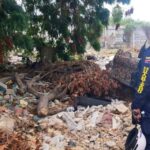 Cuatro arrestados y ocho motos retenidas durante operativo policial.