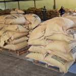 Autoridades prevén lluvias y chubascos por paso de la Onda Tropical N.º 32 por el país.