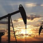 Reactivan recepción y salida de cargas en Puerto La Guaira.