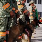 Rescatistas salvan de los escombros a mujer con cinco meses de embarazo.