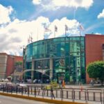 Concejo Municipal de Maracaibo debate nueva ordenanza de arboricultura urbana para mitigar el cambio climático.