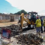 Reino Unido destina 331 millones de libras para la crisis climática.