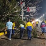 Bomberos de Maracaibo atendieron solicitudes de árboles caídos y estructuras afectadas por las lluvias y fuertes vientos.